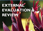 Image of field of gladioli with links to EER schedule, Find and EER report and Evaluation Indicators External evaluation and Review