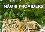 Image of woven kete with links to Development & support and Find a provider  Maori providers