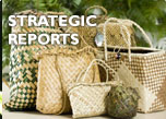 Strategic reports
