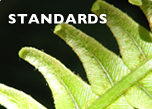 Image of a frond of native fern with links to Find standards, Excnlusion list and Changes to standards Standards